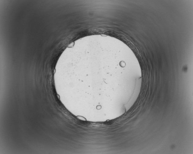 X0000116260617201001110955