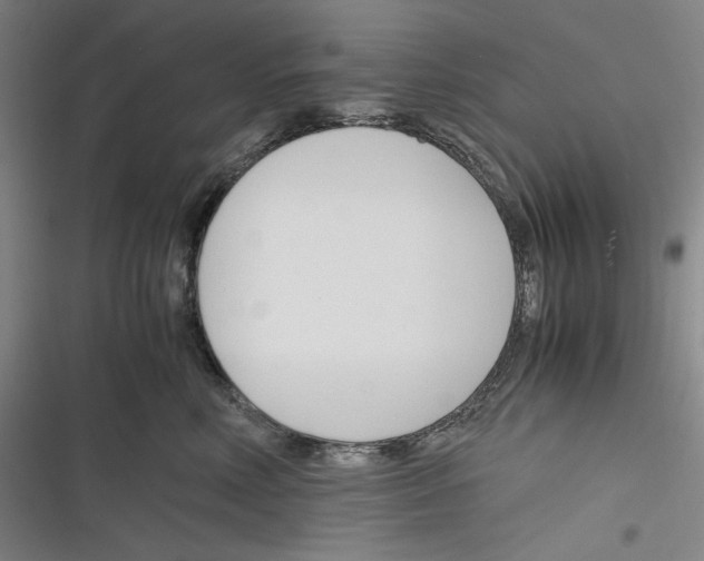 X0000116260618201001110955