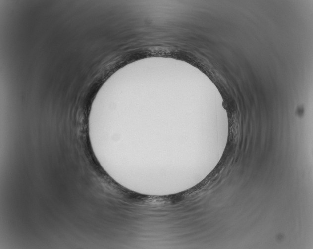 X0000116260619201001110955