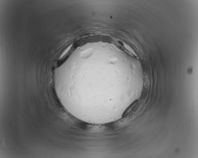 X0000116260621201001110955