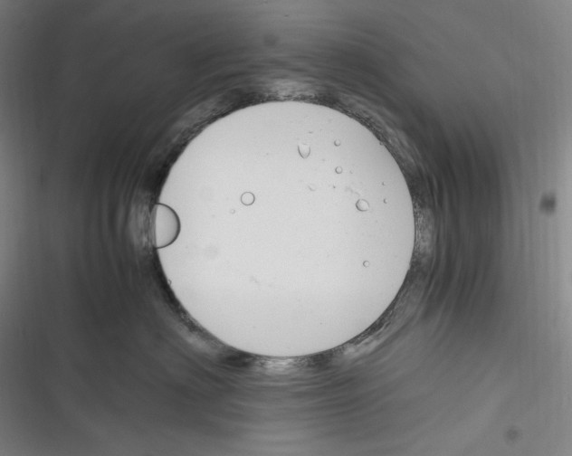 X0000116260622201001110955