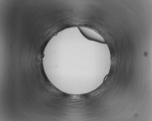X0000116260623201001110955