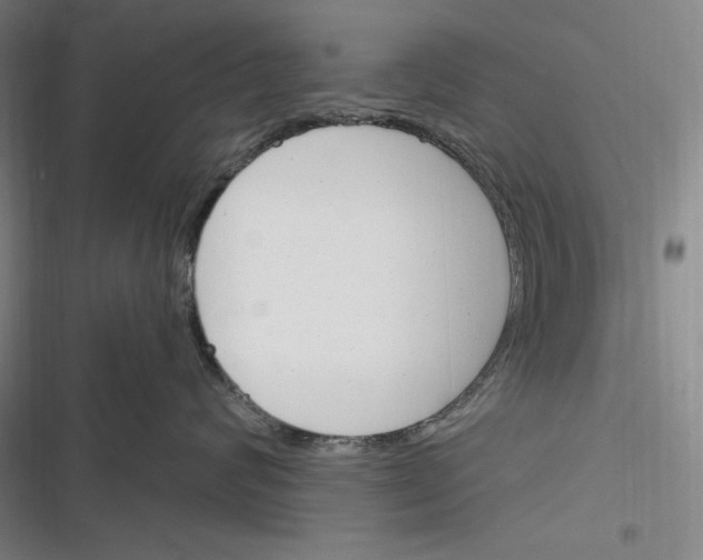 X0000116260624201001110955