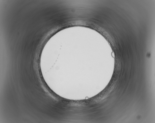 X0000116260625201001110954