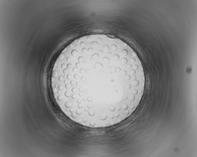 X0000116260626201001110954