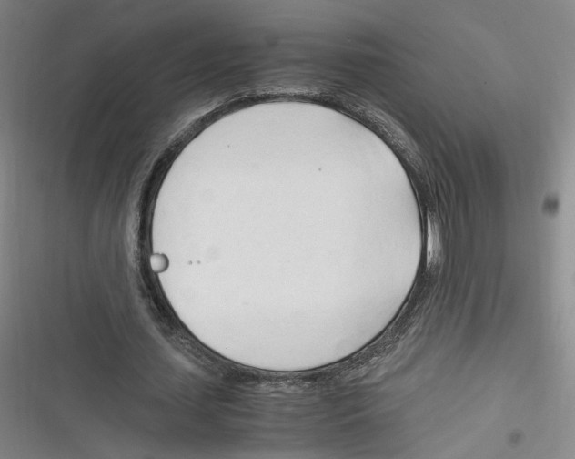 X0000116260627201001110954