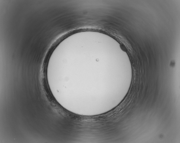 X0000116260628201001110954