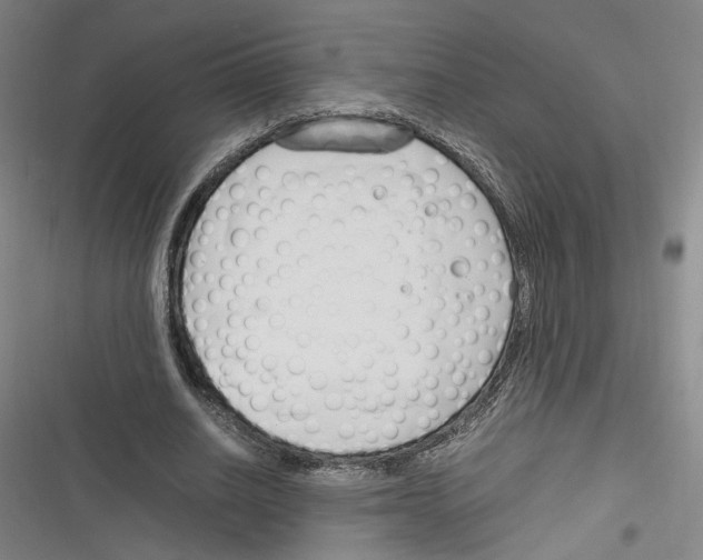 X0000116260630201001110954