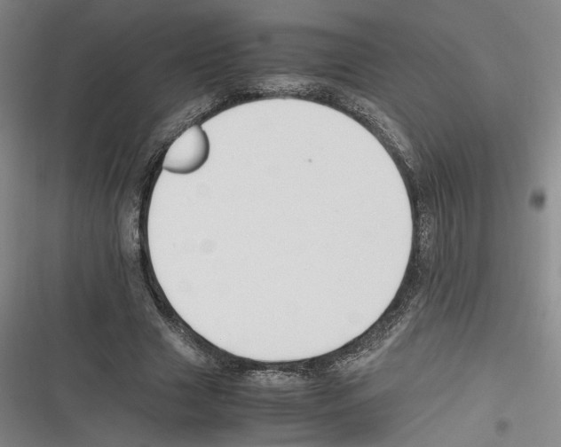X0000116260633201001110954