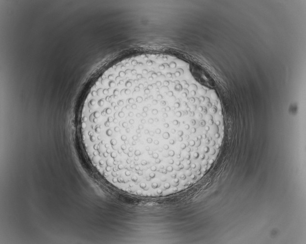 X0000116260634201001110954