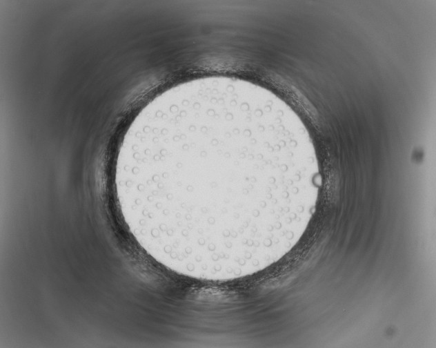 X0000116260635201001110954