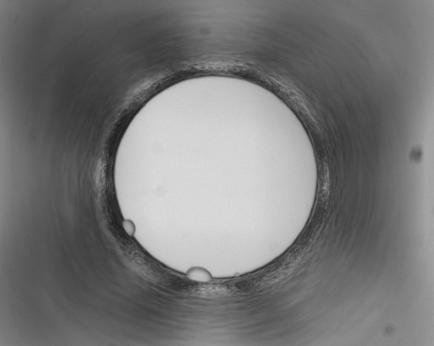 X0000116260636201001110954