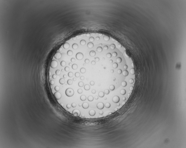 X0000116260638201001110954