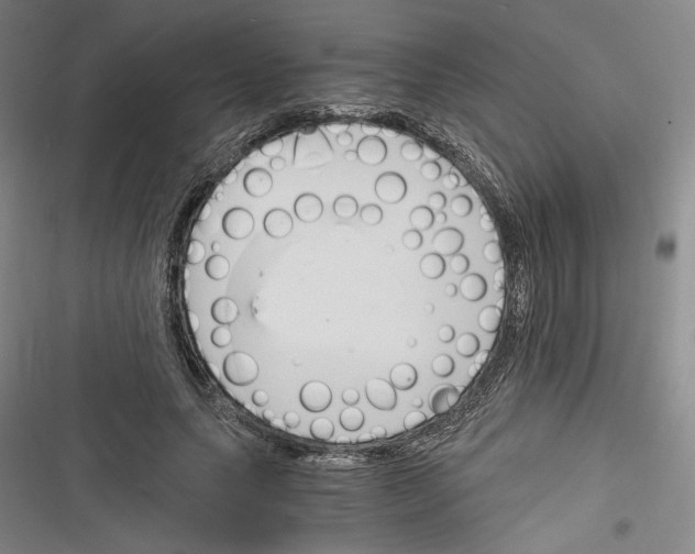 X0000116260639201001110954