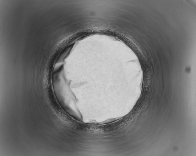 X0000116260640201001110954