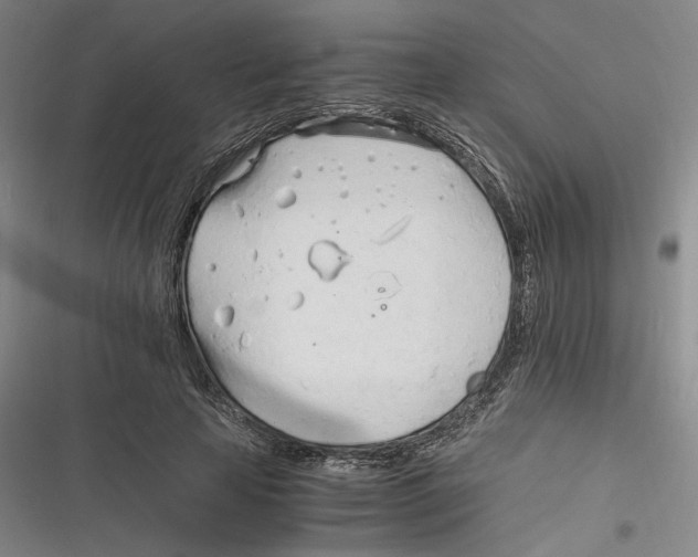 X0000116260641201001110954