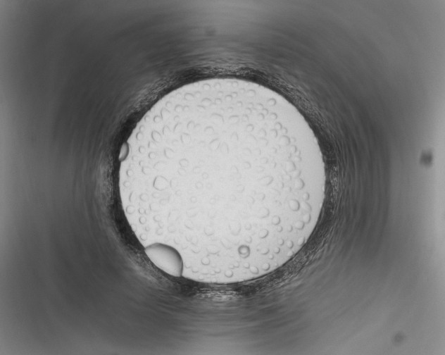 X0000116260642201001110954