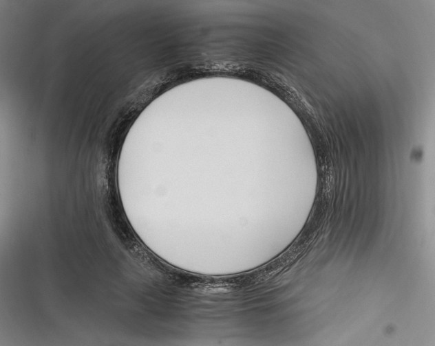 X0000116260643201001110954