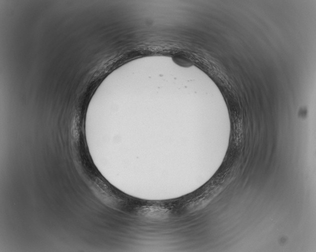 X0000116260644201001110954