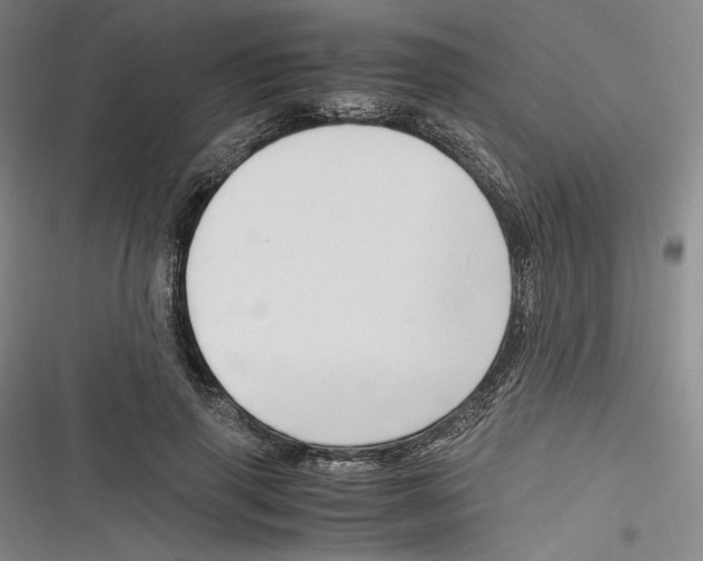 X0000116260645201001110954
