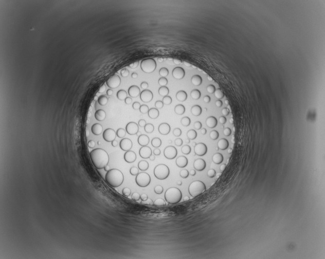 X0000116260646201001110954