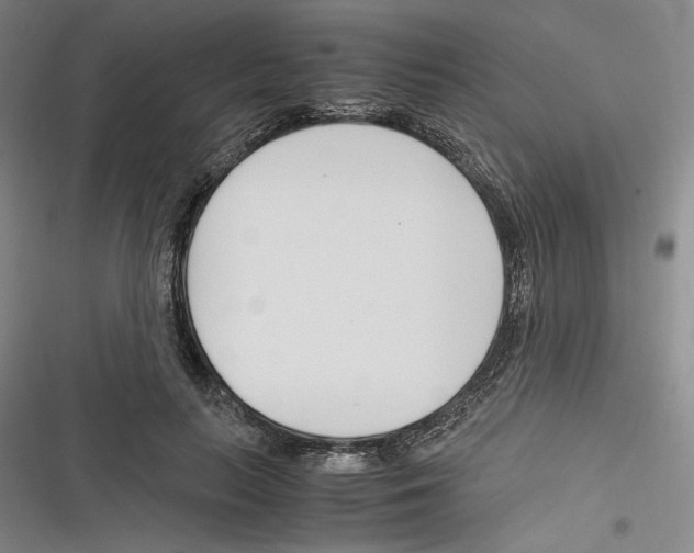 X0000116260647201001110954