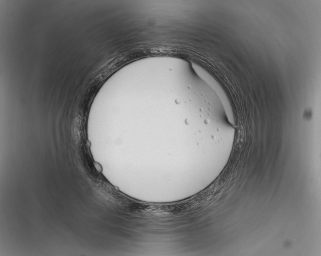 X0000116260648201001110954