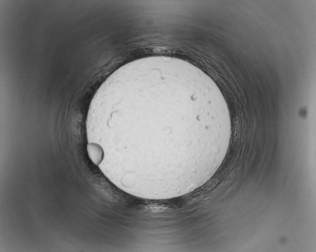 X0000116260650201001110954