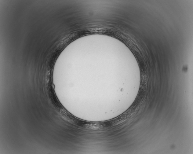 X0000116260652201001110954