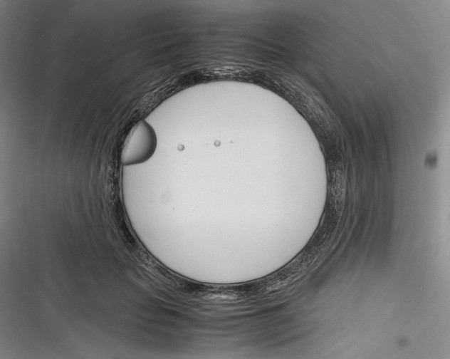 X0000116260653201001110954