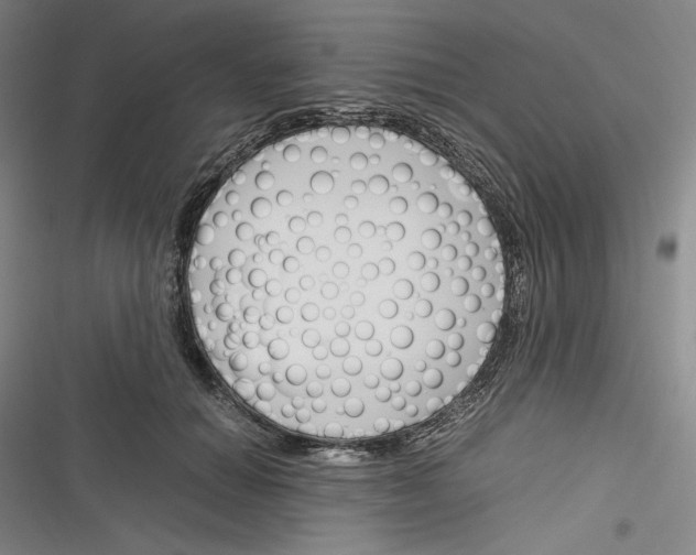 X0000116260654201001110954