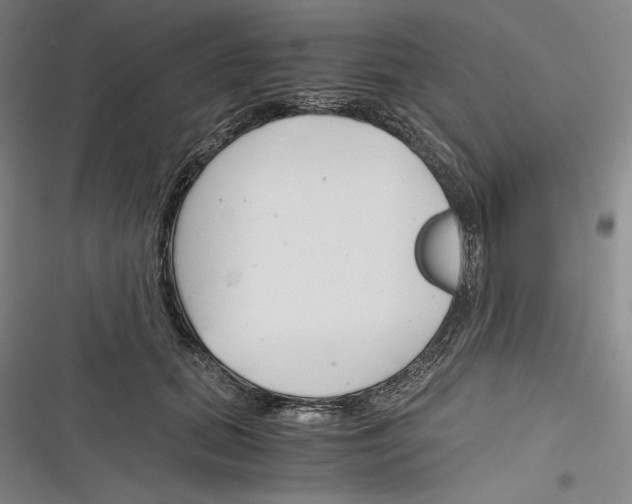 X0000116260655201001110954