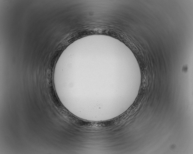 X0000116260656201001110954