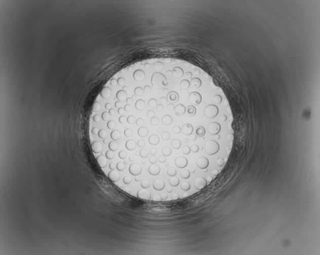 X0000116260658201001110954