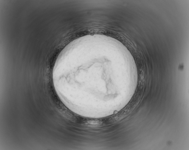 X0000116260659201001110954