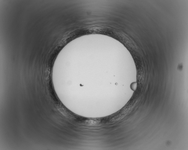 X0000116260660201001110954