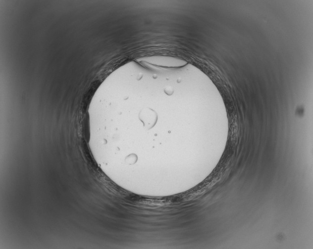 X0000116260661201001110954