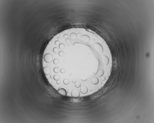 X0000116260662201001110954