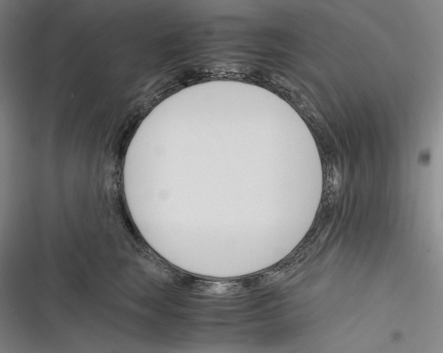X0000116260663201001110954