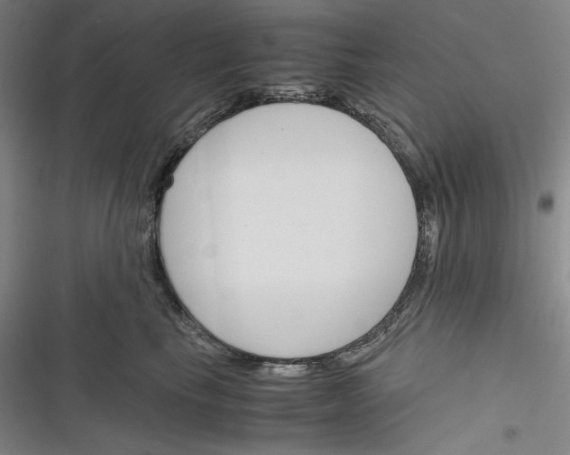 X0000116260665201001110954