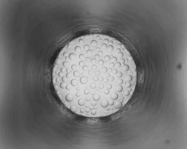 X0000116260666201001110954