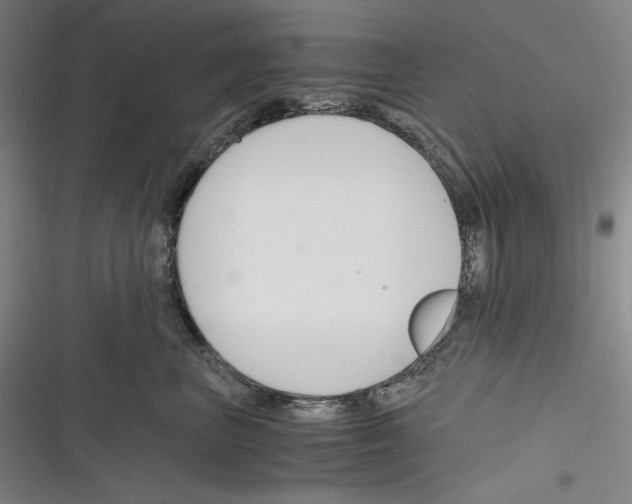 X0000116260667201001110954