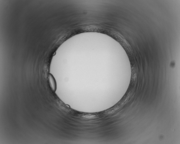 X0000116260669201001110955