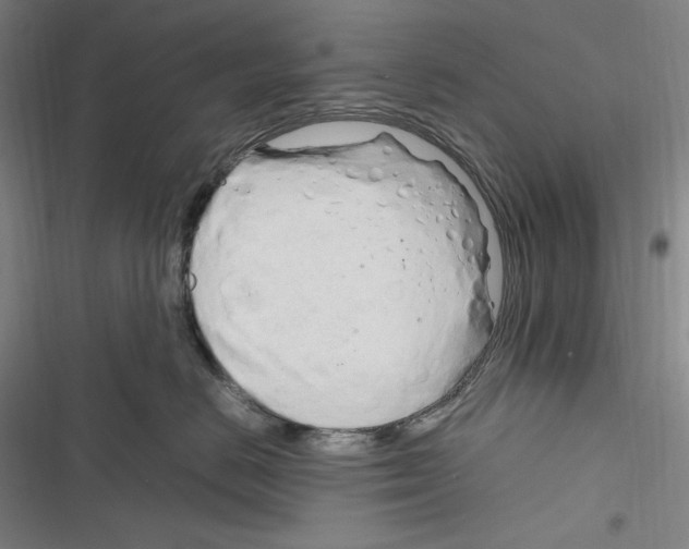 X0000116260670201001110955
