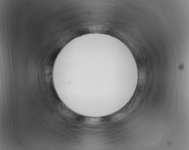 X0000116260671201001110955