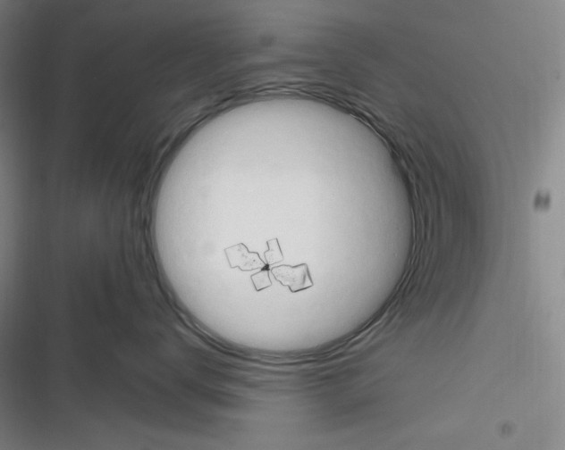 X0000116260672201001110955