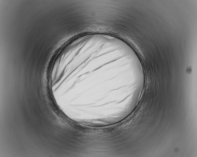 X0000116260674201001110954