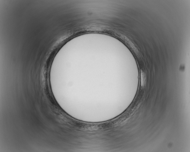 X0000116260675201001110954
