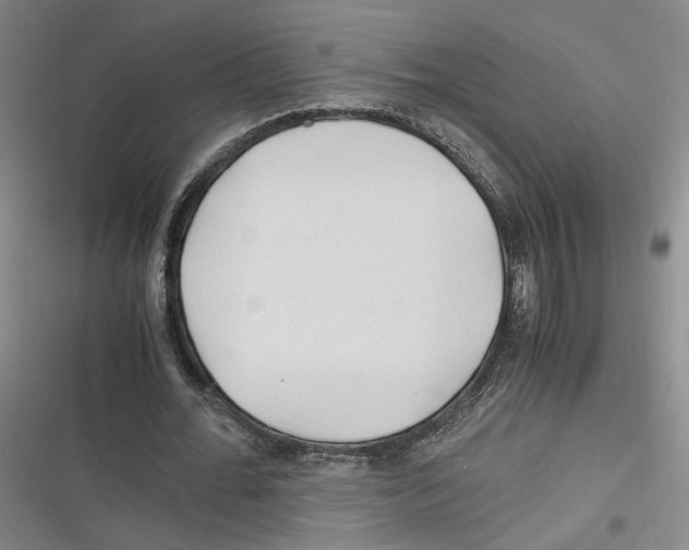 X0000116260676201001110954