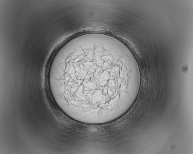 X0000116260678201001110954